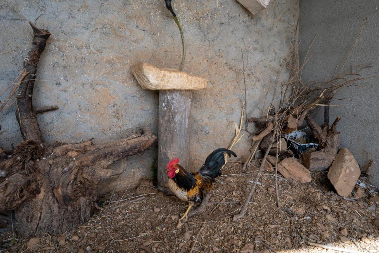 Laroya Reul Alto Cortijos Ruralesゲストハウス エクステリア 写真