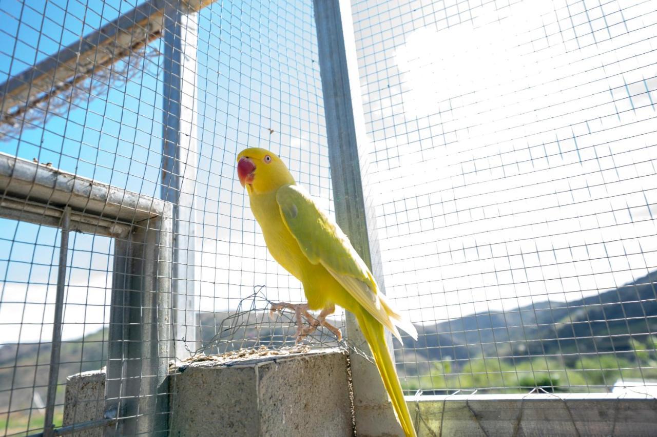 Laroya Reul Alto Cortijos Ruralesゲストハウス エクステリア 写真