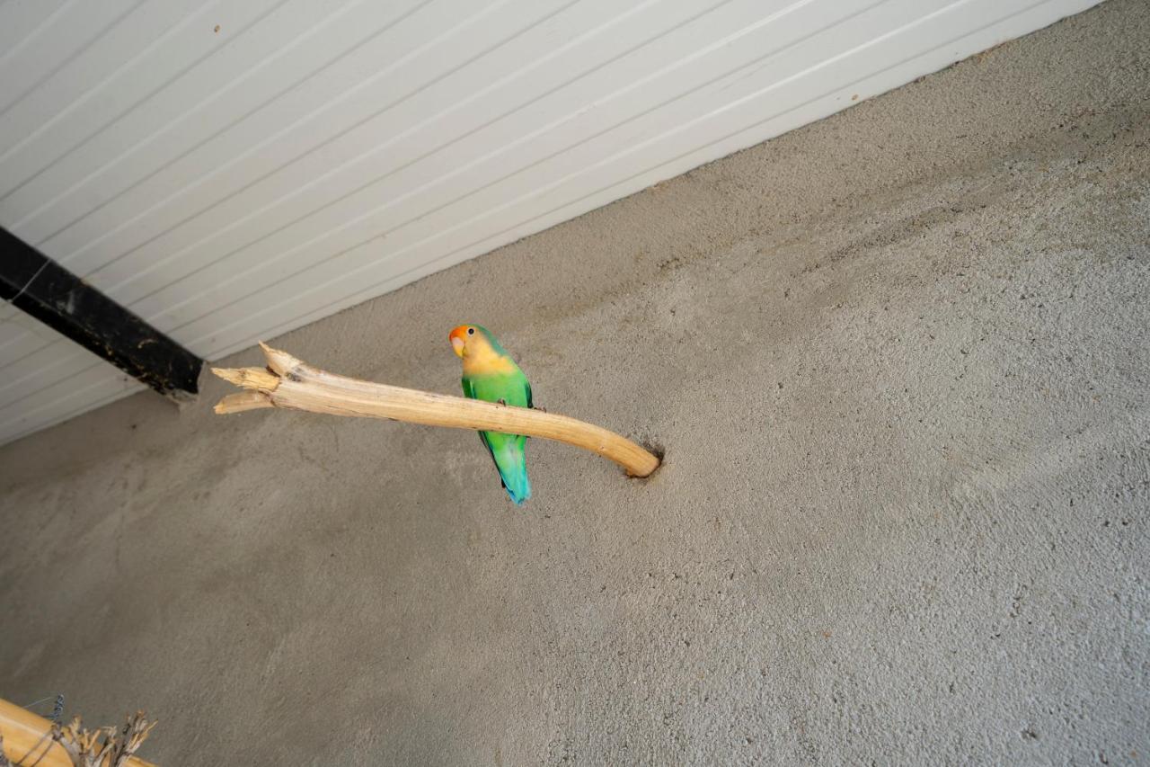 Laroya Reul Alto Cortijos Ruralesゲストハウス エクステリア 写真
