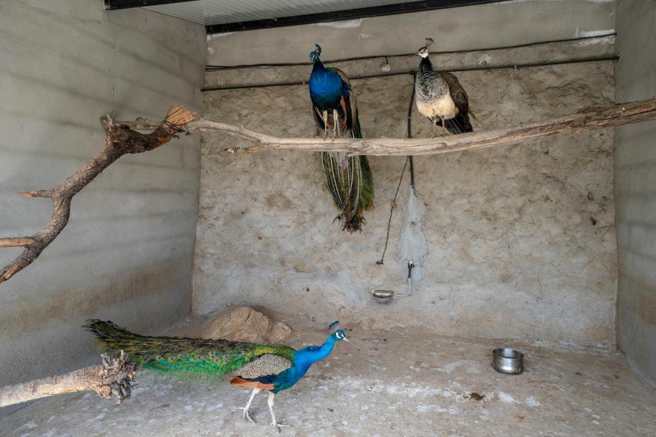 Laroya Reul Alto Cortijos Ruralesゲストハウス エクステリア 写真